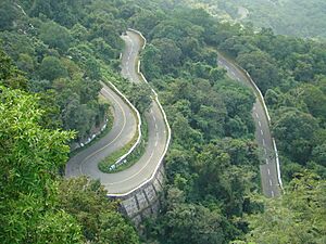 Valparai GhatRoad