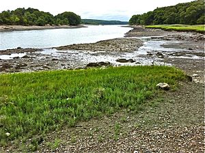 Weymouth Back River from shore Great Esker Park (esker on right) end July 2012