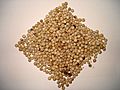 White pepper whole.JPG