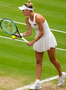 Wimbledon 2023 Semifinals (53045064298) (cropped4)