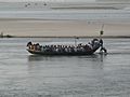 A boat in India