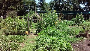 BBG Children's Garden