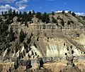 Basalt columns in yellowstone 2