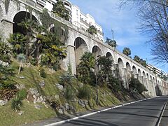 Boulevard des Pyrénées Pau 5