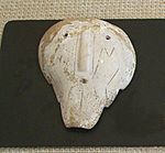 A shell gorget from the Nodena site