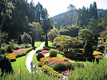 Butchart gardens