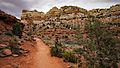 Calf Creek Falls hike 03