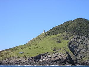 Cape Brett Lighthouse.jpg