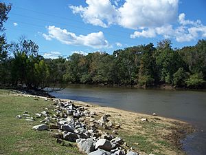 Choctawatchee River near US 90 bridge south01