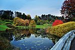 Cornell Plantations lake.jpg