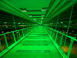 Davenport Skybridge at night