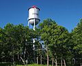 Elevated Metal Water Tank–Cuyuna