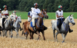 Endurance riding