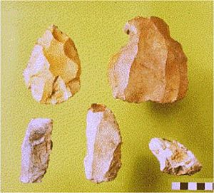 Flint tools. Lans-en-Vercors