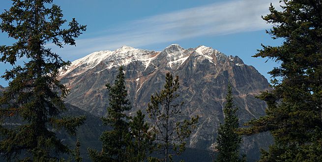 Geraldine Peak framed by trees