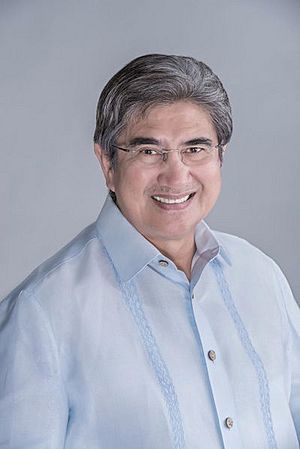 Gringo Honasan.jpg