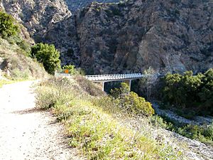 Henninger trailhead