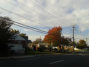 Houses in Springfield, Virginia, north end