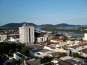 Ilha da Cotinga as seen from the top ofthe Palácio do Café