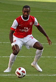 Johan Djourou 2010