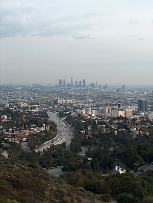 LA from Mulholland Drive