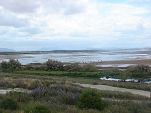 Lagunafuentepiedra