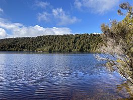 Lake Gault Track MRD 12.jpg