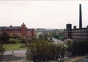 Lees cotton mills