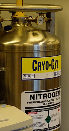 Liquid nitrogen tank