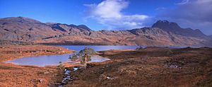 Loch Maree and Slioch - geograph.org.uk - 897208.jpg