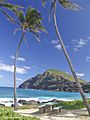 Makapuubeachpark