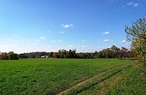 Open Field Beaver Valley