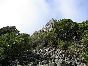 Organ pipes columnar joints Dunedin.jpg