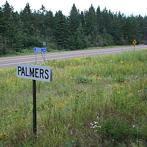 PalmersMNsign