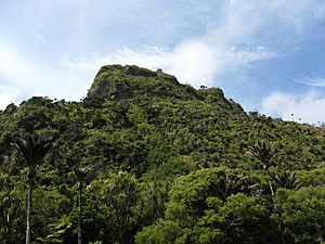 Paparoa Ranges (6706333249)