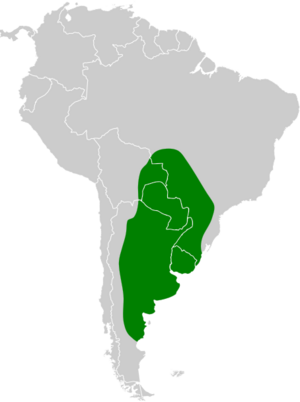 Patagioenas maculosa map.svg