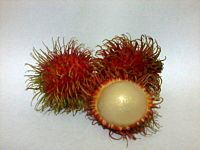 Rambutan in white bg