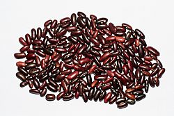 Red Rajma BNC