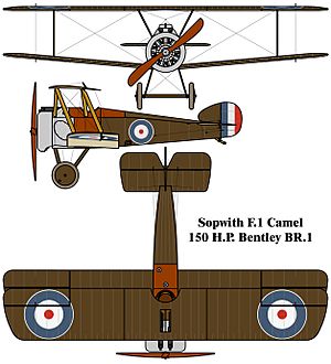 Sopwith F.1 Camel drawing