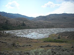 Spotted Lake.jpg