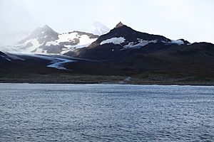 St. Andrews Bay, South Georgia