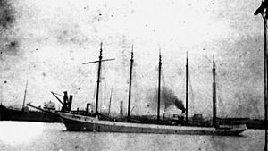 StateLibQld 1 147135 Malahat (ship).jpg