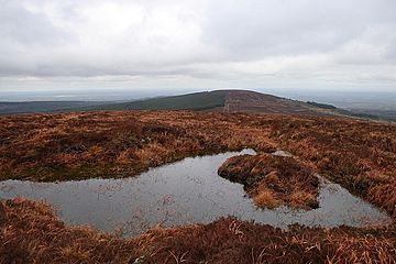 Summit pond - geograph.org.uk - 727126.jpg