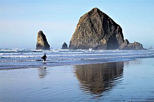 Surfer near Haystack Rock, 2020