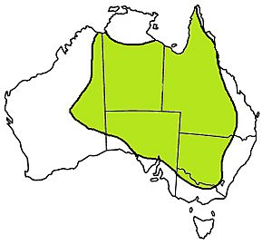 Suta suta-Curl Snake Distribution map.jpg