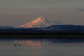 Tule lake nwr mt shasta.jpg