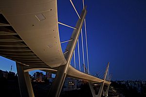 Wadi Abdoun Bridge