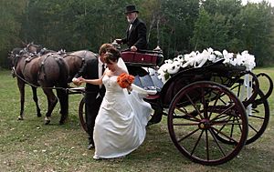 WeddingCarriage