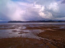 Willapa National Wildlife Refuge.jpg