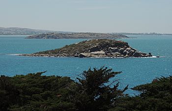 Wright Island, Encounter Bay, South Australia.JPG